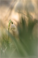 /album/fotogaleria/a5a7d6161e7d9280d4d951bc5540d350c-jpg/