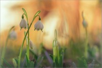 /album/fotogaleria/a6c4f4a29eebb557d53292c6c724bd944-jpg1/