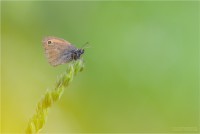 /album/fotogaleria/a7d430416512127ef093b92d23f7c0721-jpg/